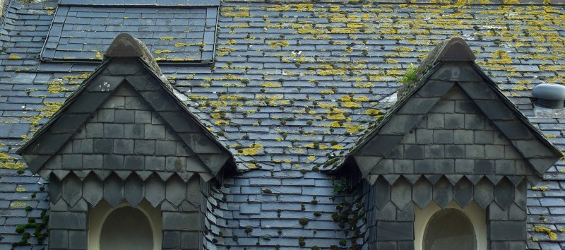 Business Email Lists of Roofing Contractors Business Email Lists of Roofing Contractors